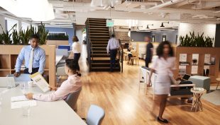 The Rise In Shared Offices
